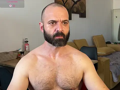 Preview of gipsykingro