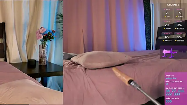 webpetite