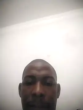 zuludog webcam