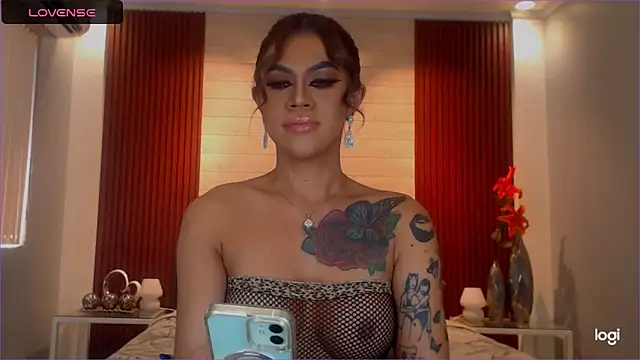 StellaStrong30 webcam