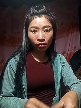 Hiniyk2 webcam