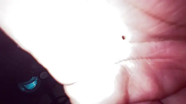 Elithee__ass___ webcam