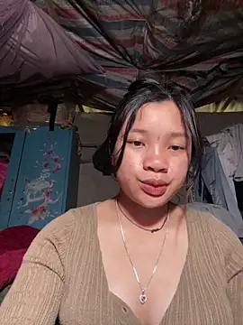 beobeo_2xx webcam