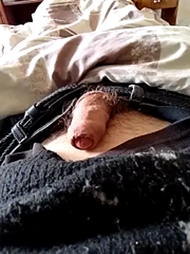 Preview of danu666666