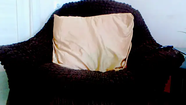 Live_View webcam