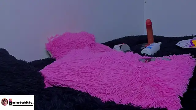 Preview of celestte_evans_1