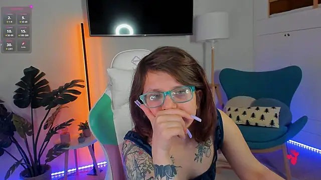 Ariell_Mini webcam