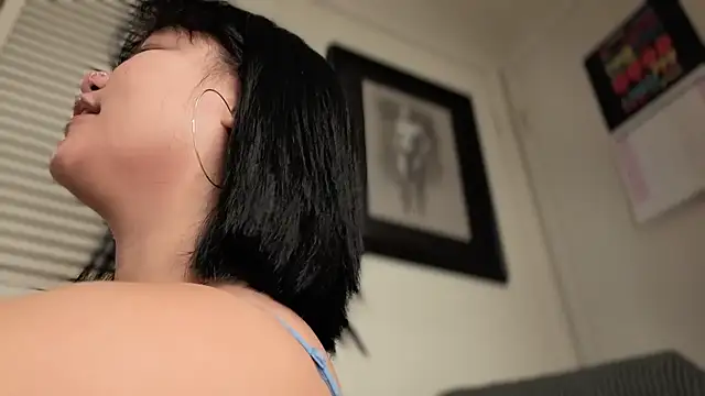 yourvibedealer