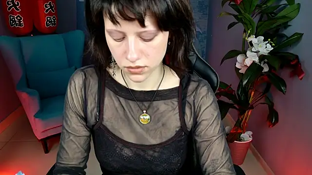 LidaDarknet webcam