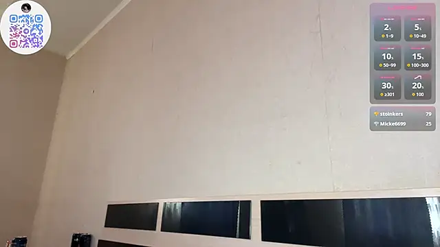 SmilingPatent webcam