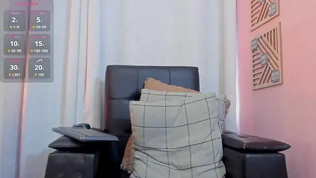 Jaadewest webcam