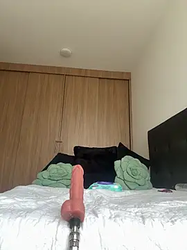 Nicollemays webcam