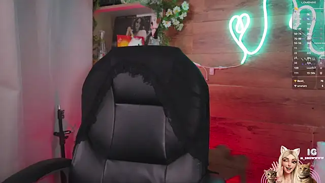 Miila_snow webcam