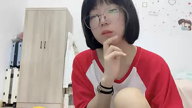 Belle-LL webcam
