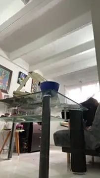 Chloee_Peach webcam