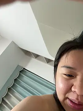NiNa5203 webcam