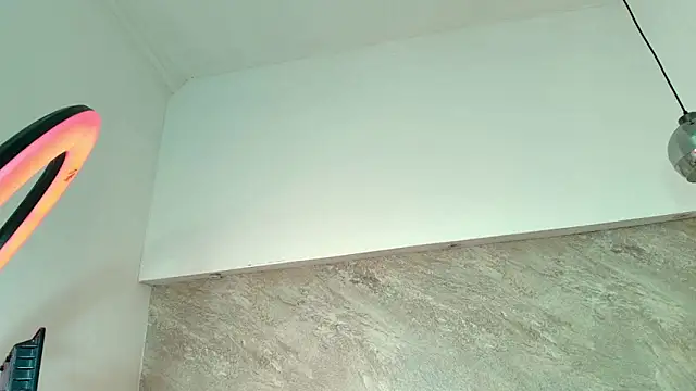 Dixie_grey1 webcam