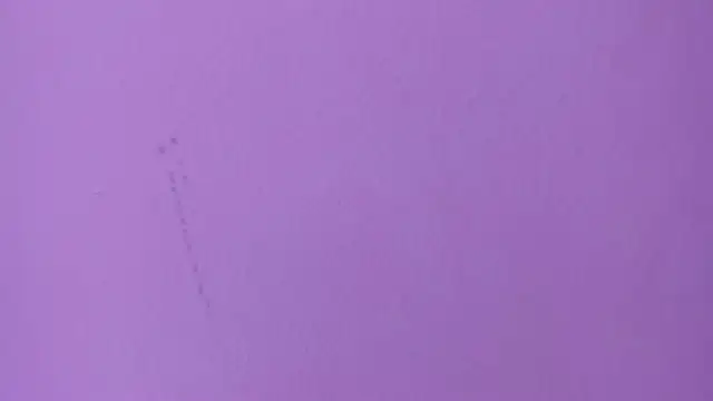 camila_scoth - Camila_scoth's free webcam - UK Sex Cams