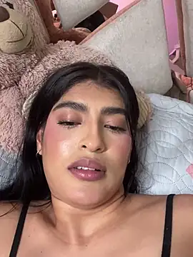 Misty-kat webcam