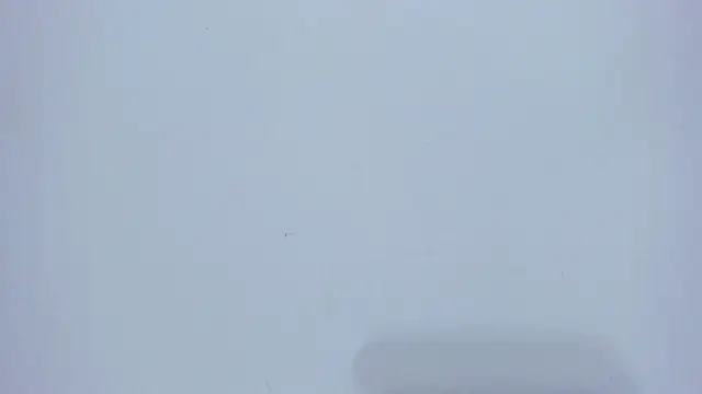 Ariel_star1 live sex cam