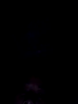 Ari-Na9 webcam