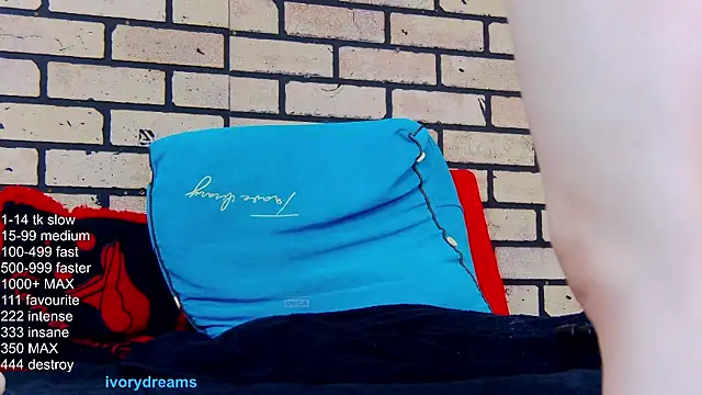 IvoryDreams webcam