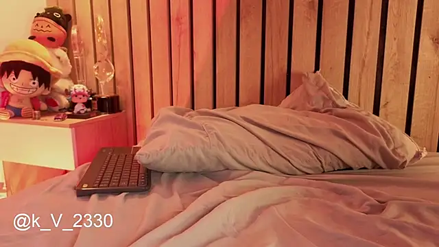 sofiesoft webcam