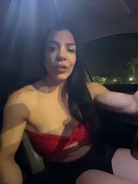 Kattefit