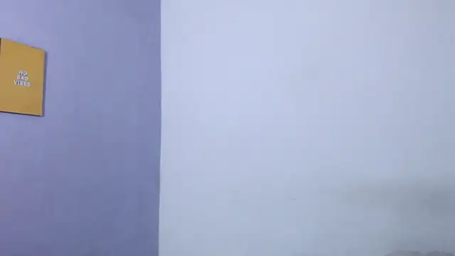 onixandghosty1