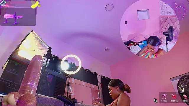 mia-brit webcam