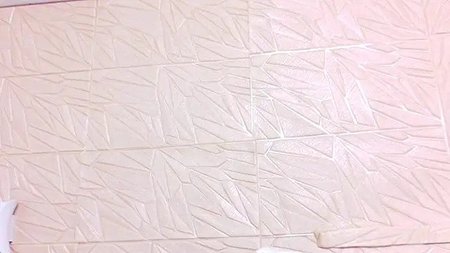 nina_bae webcam