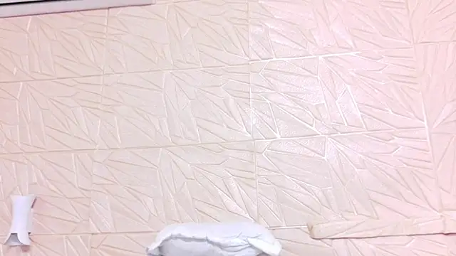 nina_bae webcam