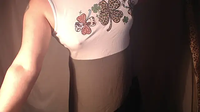 supernipll webcam