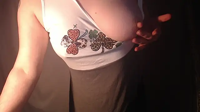 supernipll webcam