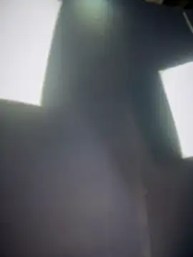 Preview of asianpie_