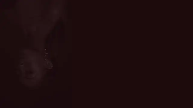 Preview of viicky_r