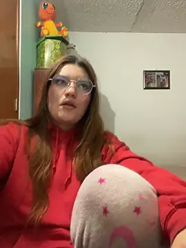 Vixroy7 webcam