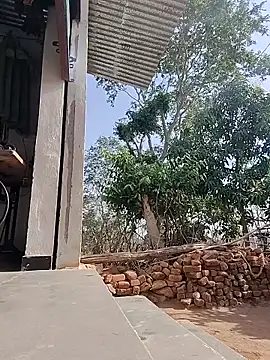 taniya0