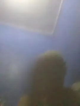 Preview of s7lealtadpervlima7