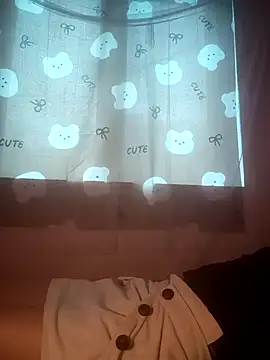 Pivi12 webcam