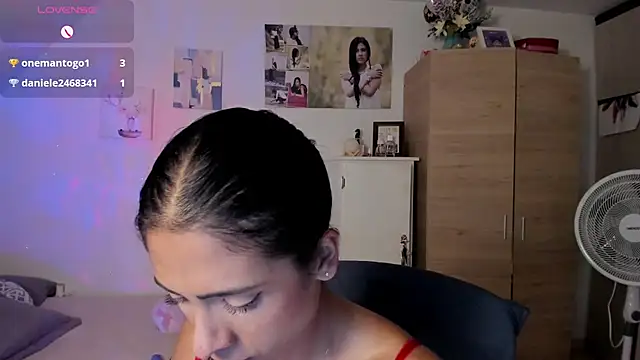 Veronikolsen- webcam