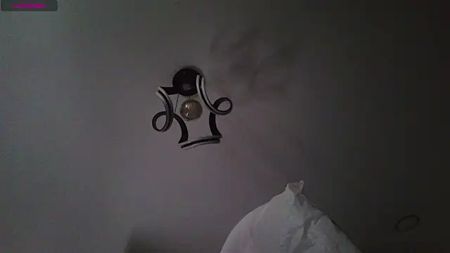 S3Xyes webcam