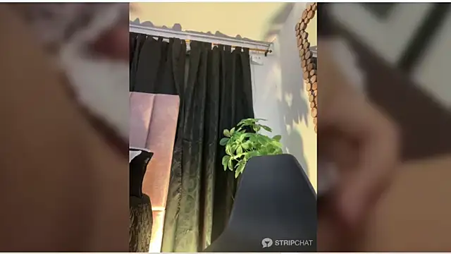 alexdjx21 - Alexdjx21's free webcam - UK Sex Cams