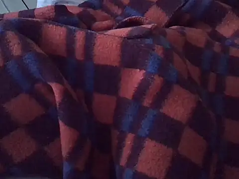 Twerl webcam