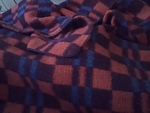 Twerl webcam