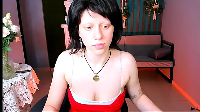 LidaDarknet webcam