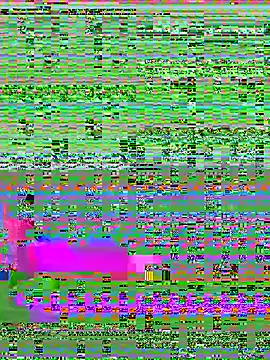 RenaThickAss webcam