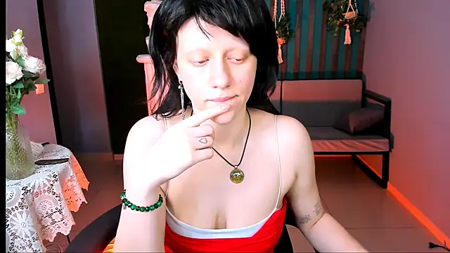 LidaDarknet webcam