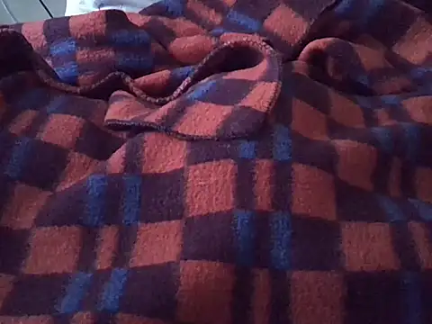 Twerl webcam