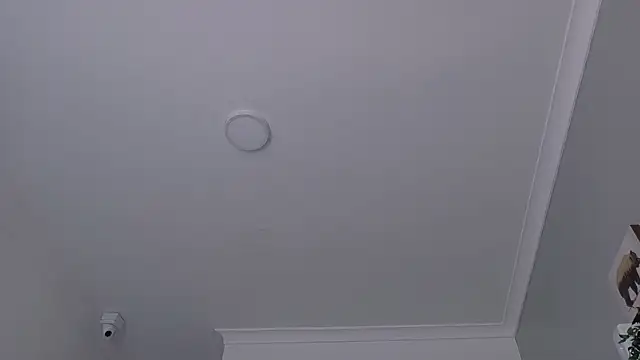 LexaDominant__ webcam